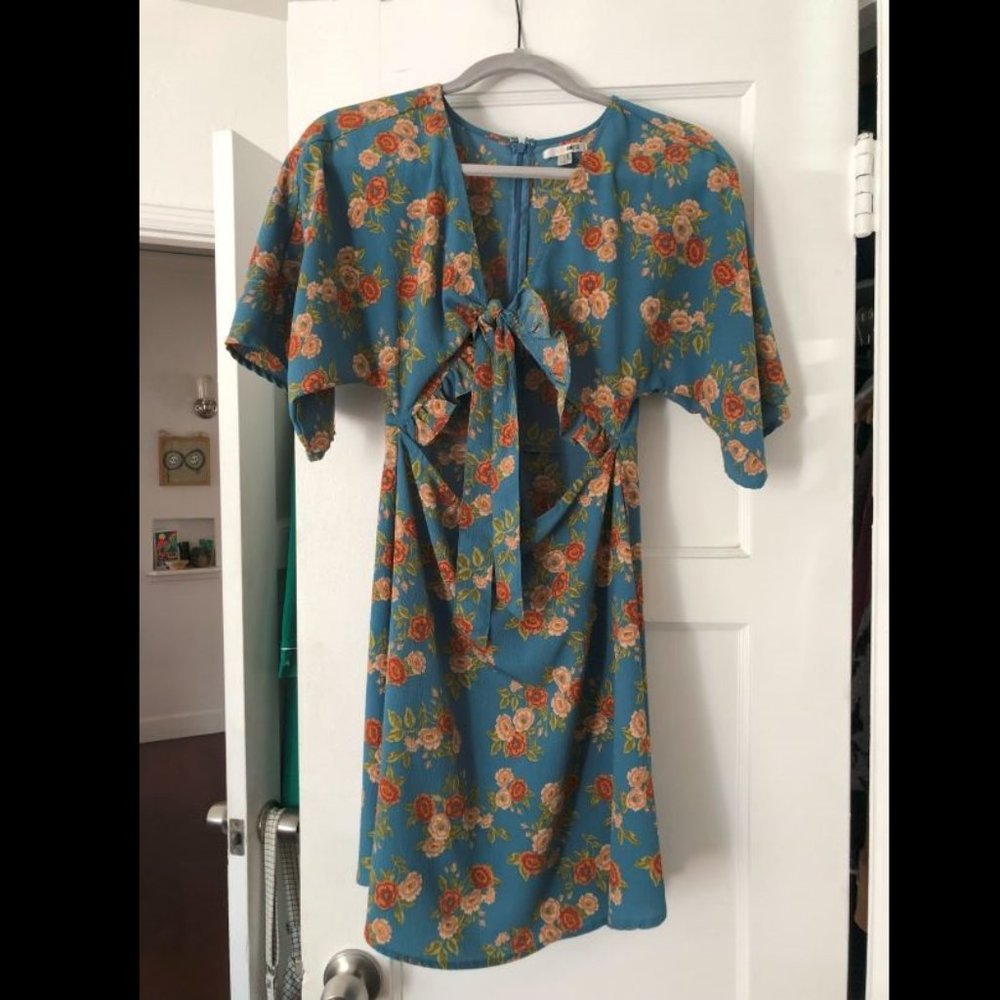 Society Amuse Dress